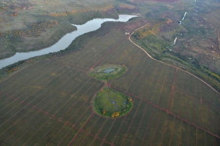 Agricultural land outside Nairobi Kenya