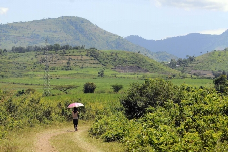 Landscape in Kenya