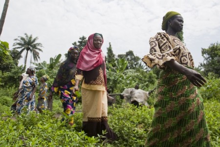 Local farmers pass by to attend a farmers meeting at Oloki Village, Osogbo, Osun state, Nigeria. 