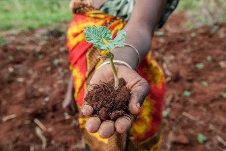 Sharifa Juma digs terraces to stop soil erosion in Lushoto, Tanzania