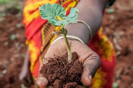 Sharifa Juma digs terraces to stop soil erosion in Lushoto, Tanzania. 