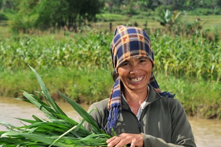 A farmer holds livestock fodder in Vietnam