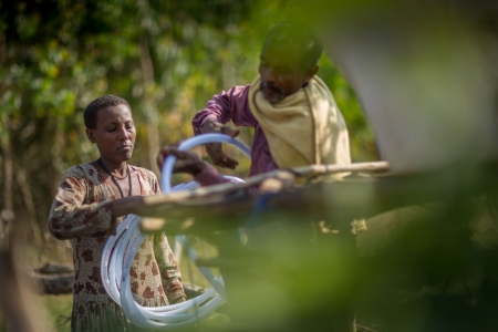 Solar powered irrigation in backyard garden, Ethiopia