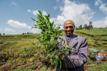 Soil restoration