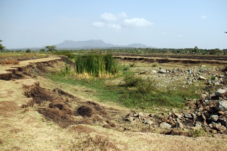 Land degradation affects 67 per cent of Africa.