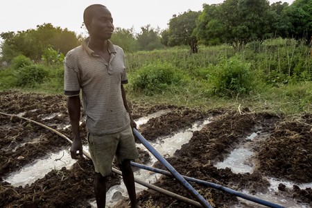 farming kenya