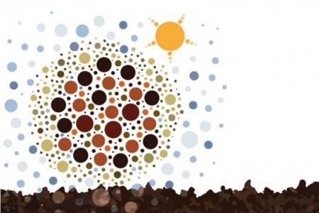 Global Symposium on soil organic carbon