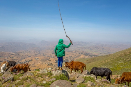 Ethiopian practices improve returns on massive investments in soil and water management