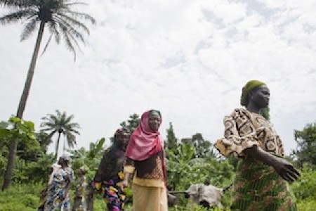 Nigerian female farmers this land is our land_teaser 