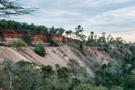 soil-erosion-gsmisth-ciat- 20x20challenge-teaser