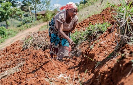 Communities dig terraces to stop soil erosion in Lushoto, Tanzania.