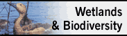 Wetlands & Biodiversity