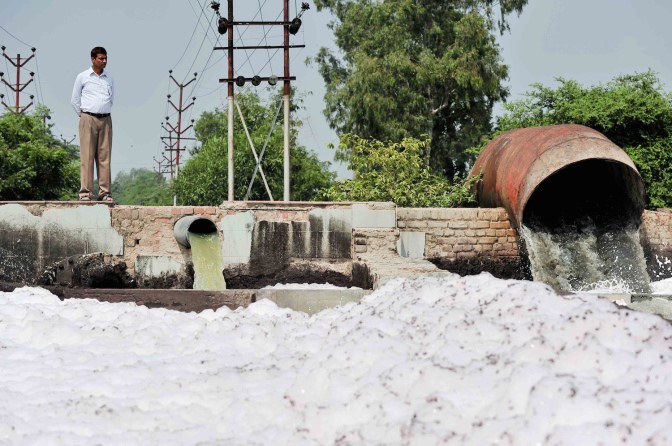 Snapshot Neil Palmer