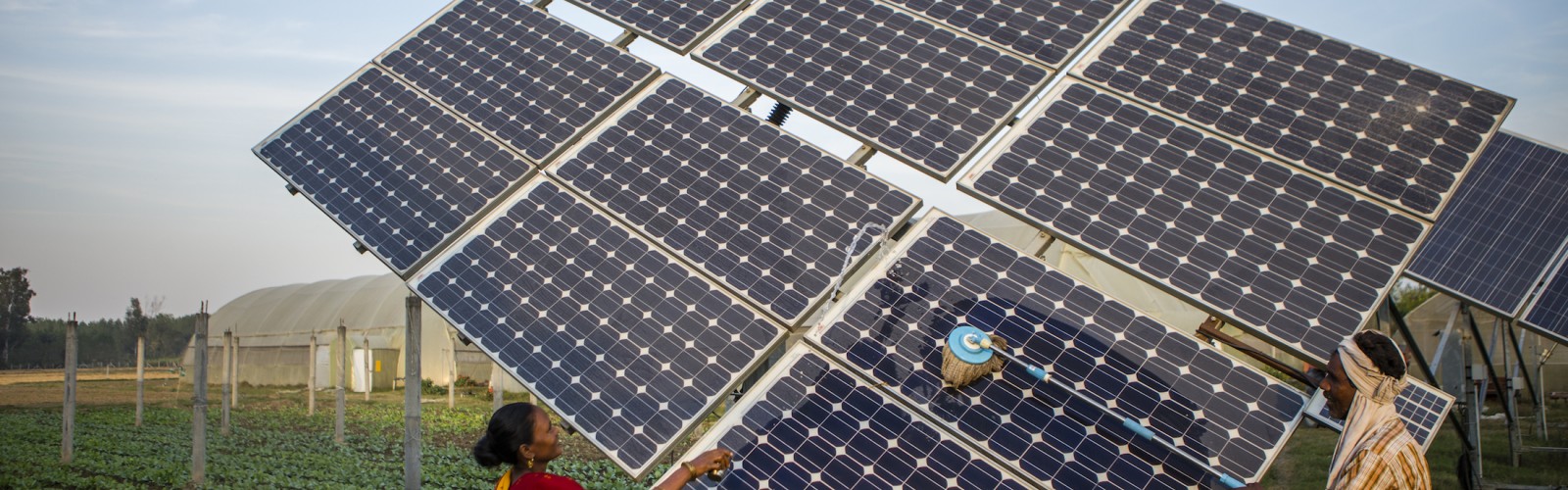 Farmers clean the solar panels for better efficiency