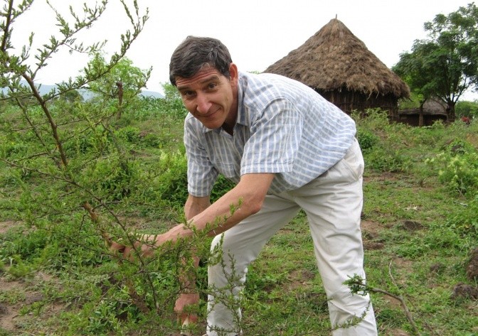 Tony Rinaudo pruning FMNR Trees.  Photo: World Vision Australia