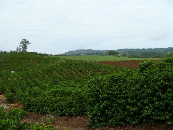CAITE Farm. Photo Credit: Alejandra Martinez