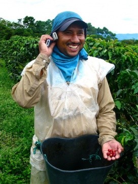 Colombian coffee producer taking a call on one of his two mobile phones.  Photo: Angelica V Ospina