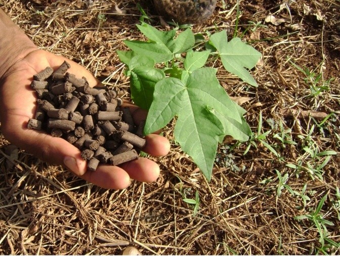 Fortified excreta pellets being applied as fertilizer to crops