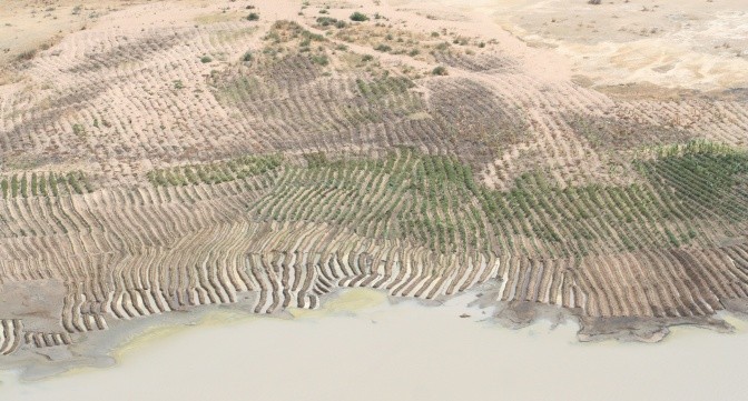 Agriculture in Bahi wetland, Tanzania. Photo: Lisa-Maria Rebelo