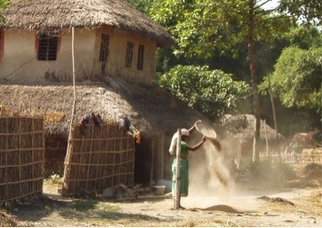 The plains of Morang is a region of severe land inequality, and most households are dependent in part on migration or off-farm casual labor.