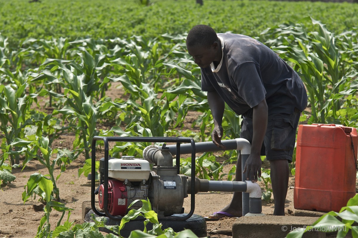 A farmer uses a pump to access water for irrigation.