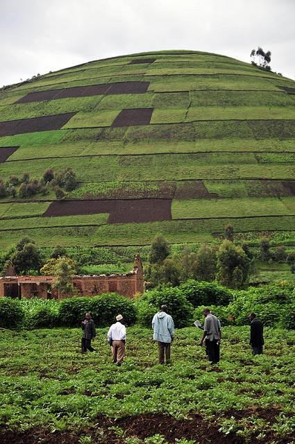 Photo Credit: Neil Palmer/CIAT on Flickr