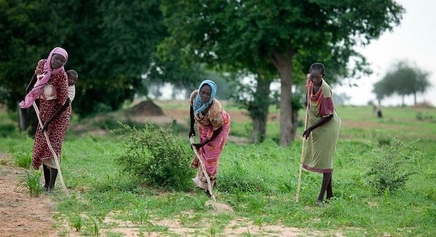 Photo: UNAMID