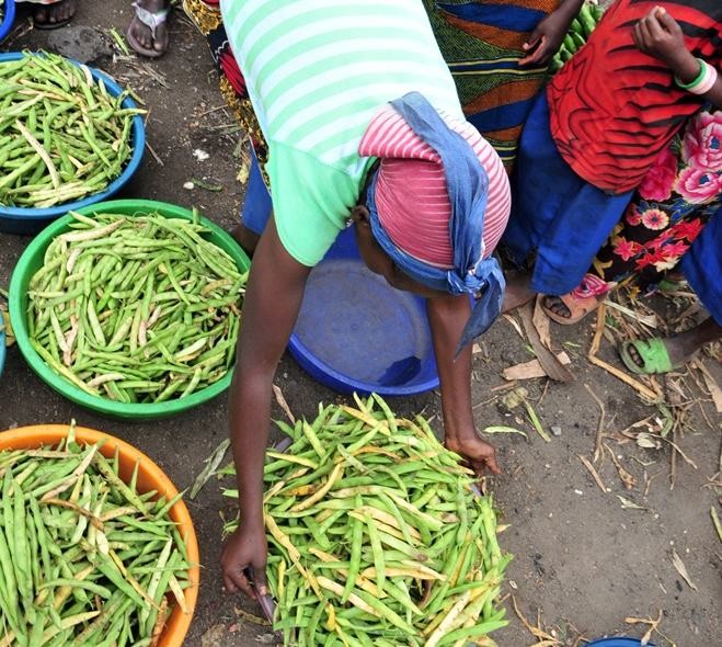 Bean market