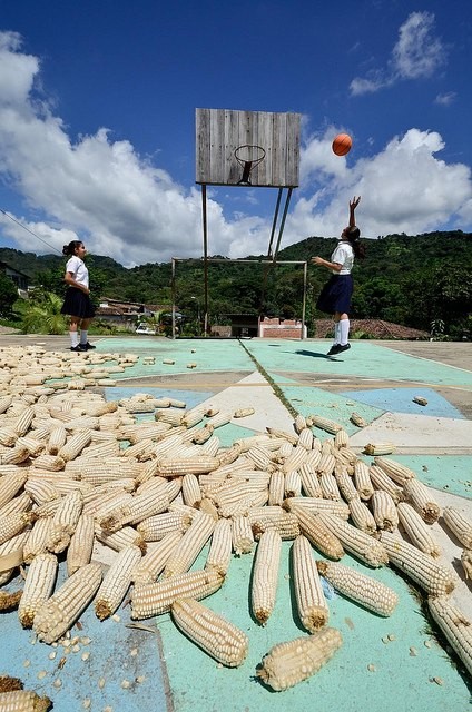 There is an increasing need for food production to respond and adapt to urbanization. Photo Credit: Neil Palmer/CIAT