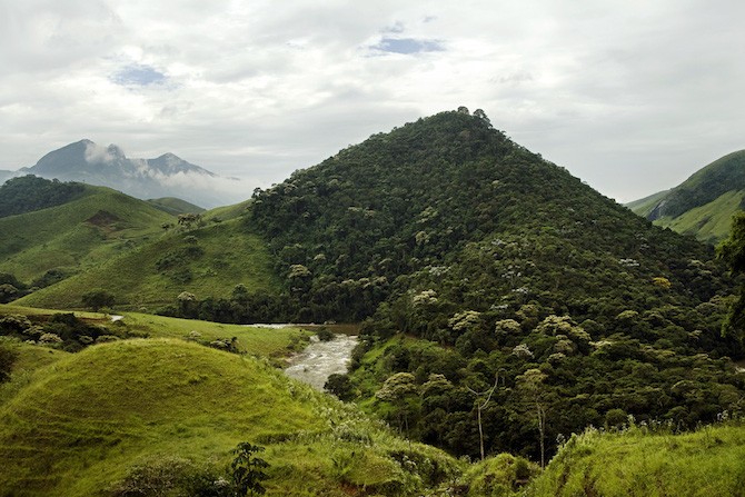 A Water Producer Program the Guandú Watershed in Rio de Janeiro state compensates landowners who protect and restore the Atlantic Forest on their lands to protect water supplies to the city.  Photo: Adriano Gambarini/TNC