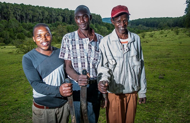 The Tana River watershed is Kenya
