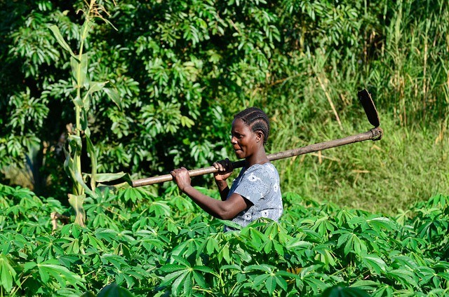Photo: Neil Palmer/CIAT