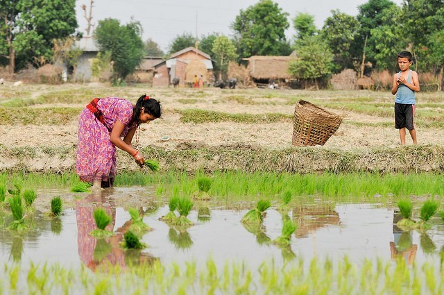 Nepal