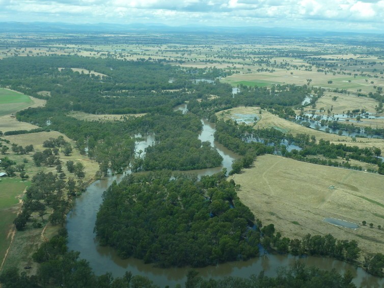 Floodplain wetlands can mediate flooding. Floodplain wetlands can mediate flooding.