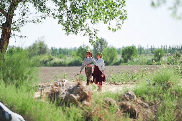 Women in the field in Central Asia.