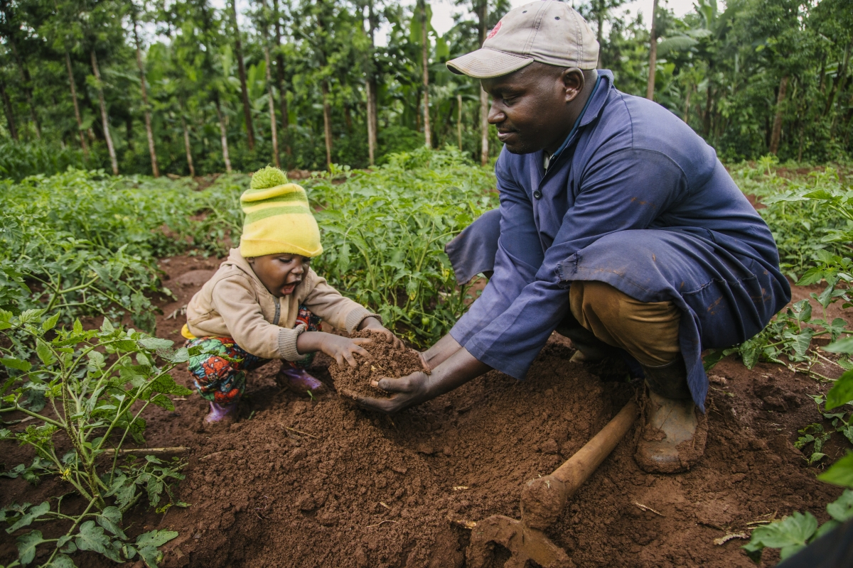 Improving small-scale crop production using evidence-based soils agronomy