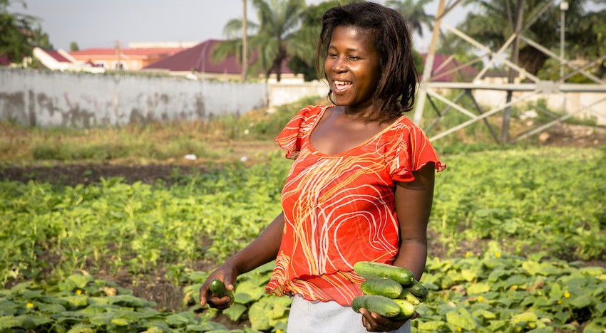 Watewater Irrigation Cucumber_Photographer Nana Kofi Acquah_Accra_Dec (25)-scr.jpg