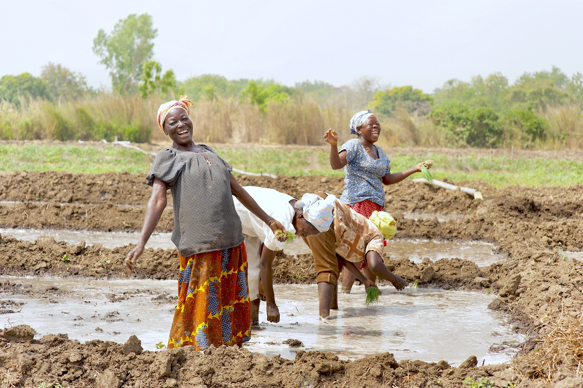 How can agriculture mitigate the impacts of youth migration and gender disparities?