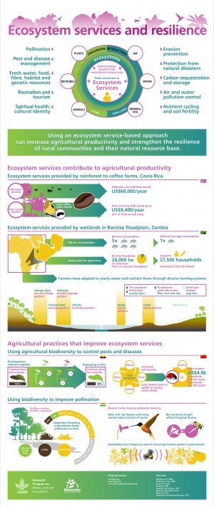 ecosystem services and resilience infographic