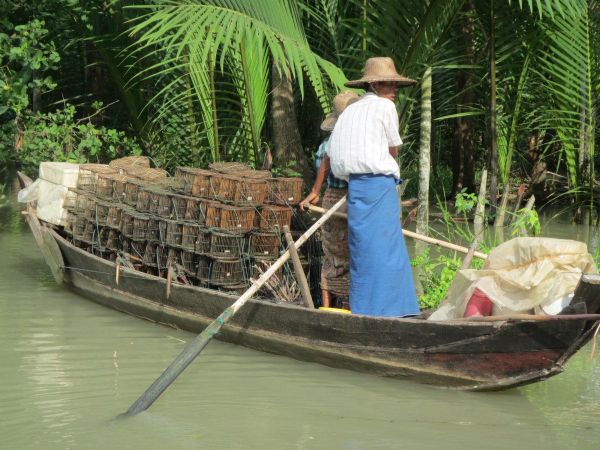 Freshwater fisheries are crucial for the livelihood of many people in Myanmar. Freshwater fisheries are crucial for the livelihood of many people in Myanmar.