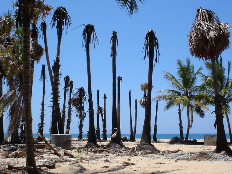 The aftermath of the 2004 tsunami on the Sri Lankan coast. The aftermath of the 2004 tsunami on the Sri Lankan coast.