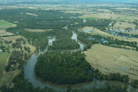 Floodplain wetlands can mediate flooding.