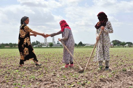 Women famers in Tajikistan