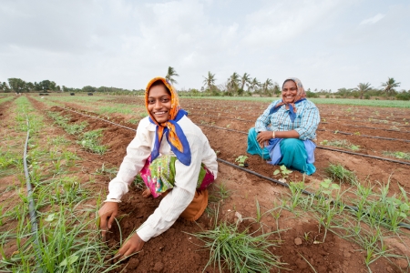 Women working in the field.