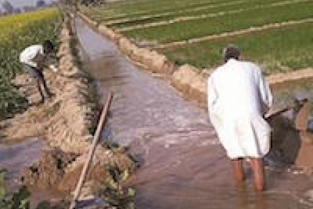 flood irrigation egypt LSIS ICARDA teaser