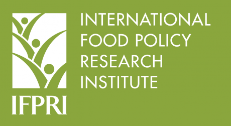 IFPRI logo
